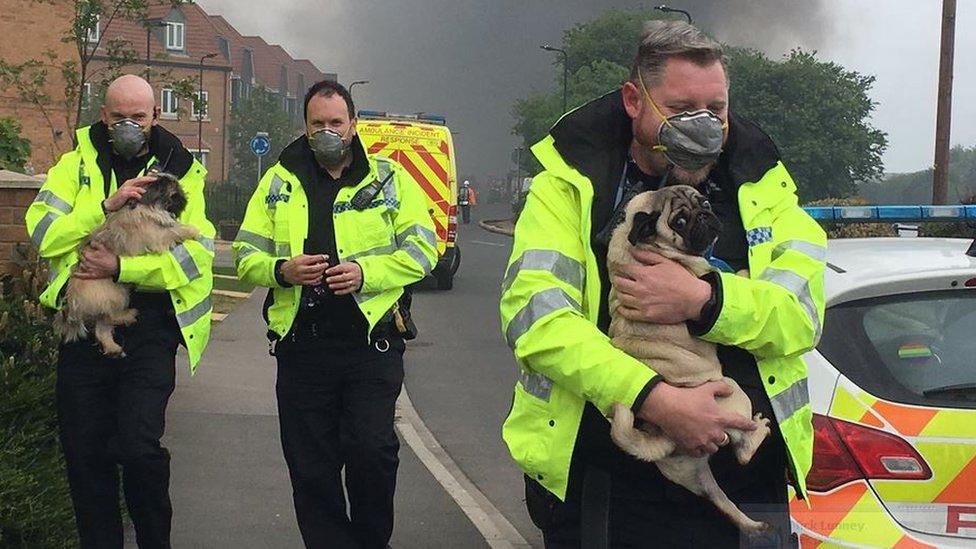 South Yorkshire Fire officers rescuing beloved pets