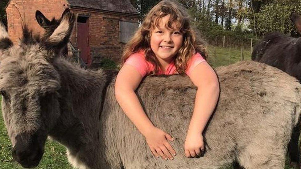 Honey with a donkey at the sanctuary