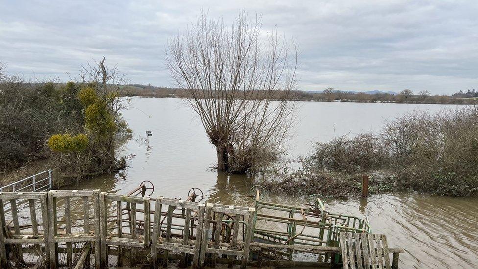 A flooded field