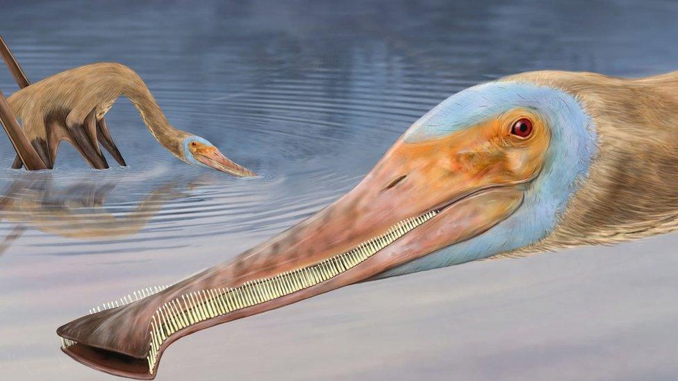 Artist image of dinosaur with long beak and lots of teeth