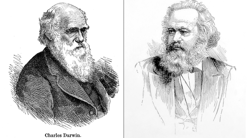 Two line drawings. Left, Charles Darwin. Right, Karl Marx