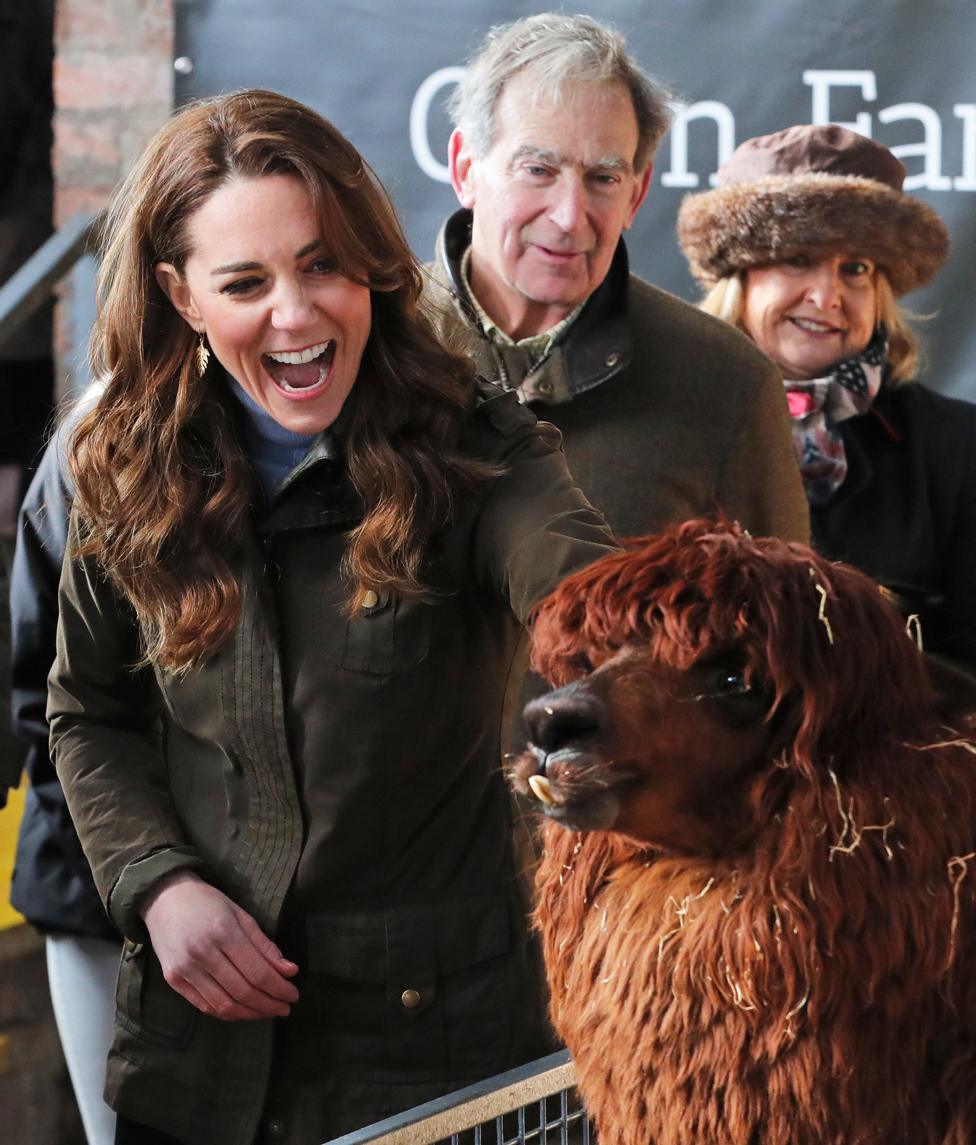 The Duchess of Cambridge stroking an alpaca during a visit to Northern Ireland