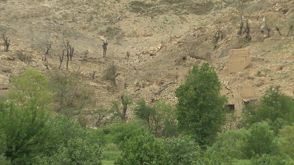 Flattened houses and trees at the site of the MOAB strike