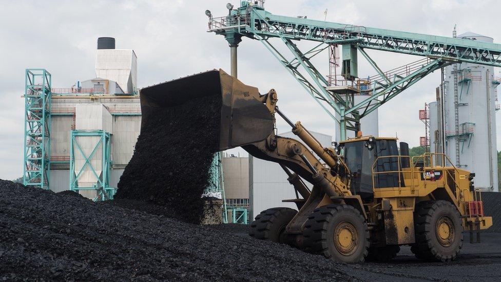 Coal being readied for use in a coal-powered power station