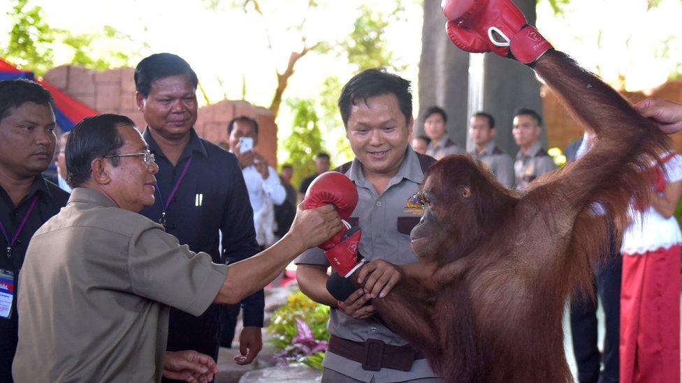 Cambodian Prime Minister Hun Sen holds an orangutan after a kick boxing performance during the inauguration of Phnom Penh Safari on June 23, 2018