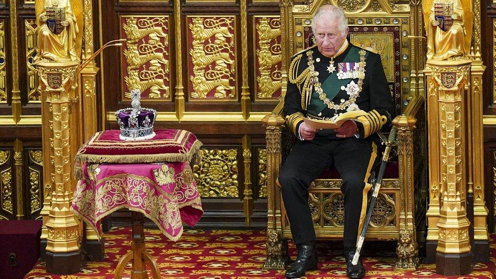 Prince Charles at the State Opening of Parliament