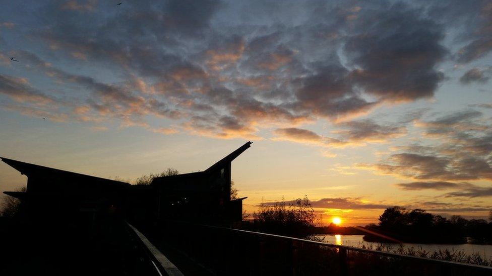 Attenborough Nature Reserve