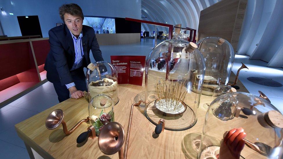 Director of Bordeaux's wine museum Philippe Massol gives explanations on the art of tasting in one of the exhibition room of the new structure in Bordeaux, on 24 May 2016