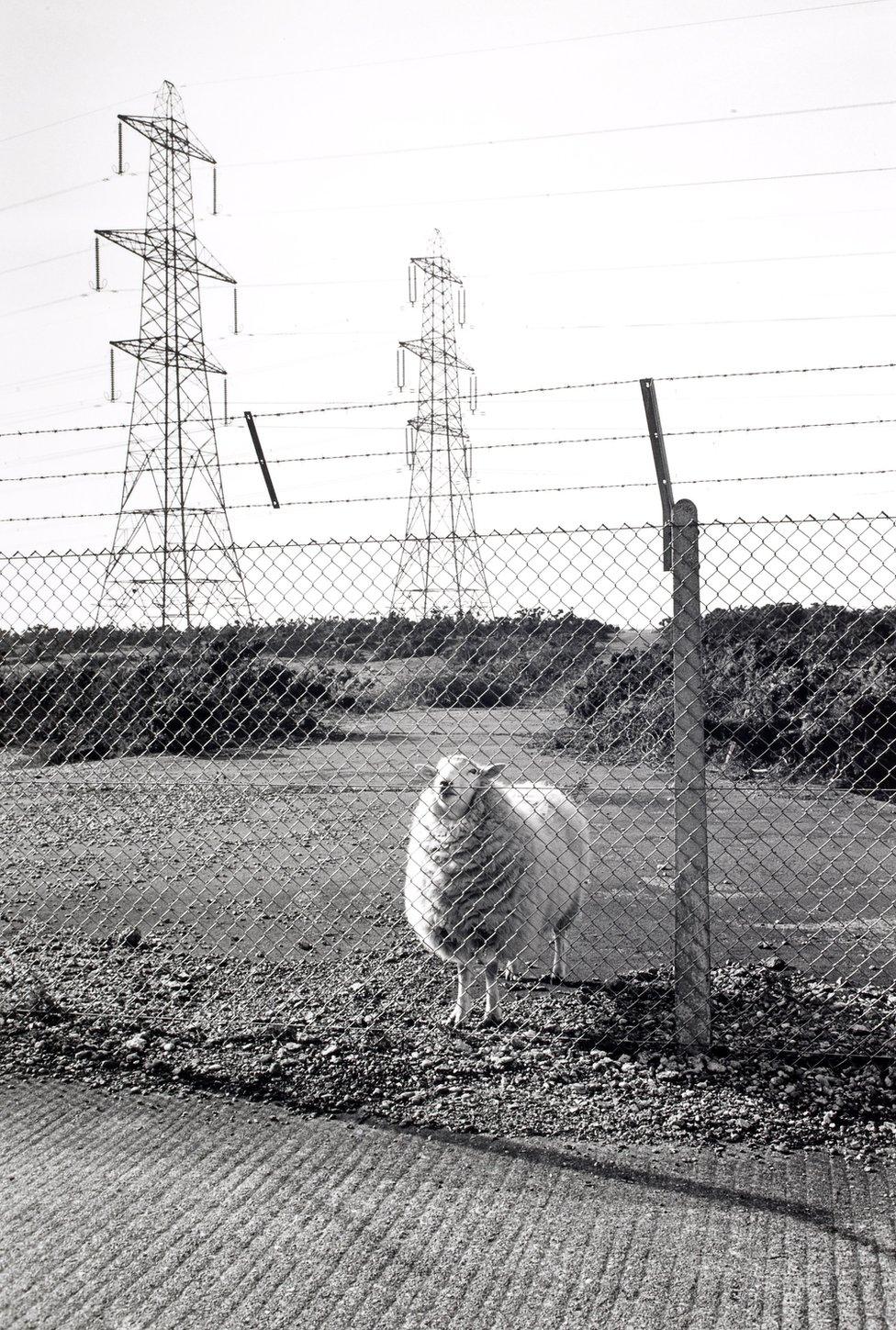 Blocked public footpath in MOD Land; Lydd, 1988