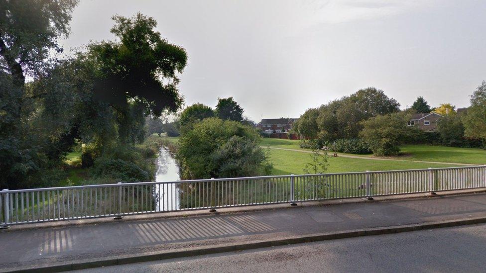 River bridge, showing river between trees and grassy walking area along the bank