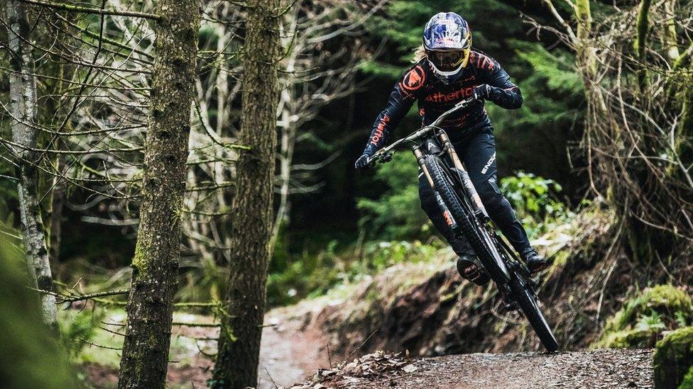 Dyfi Bike Park