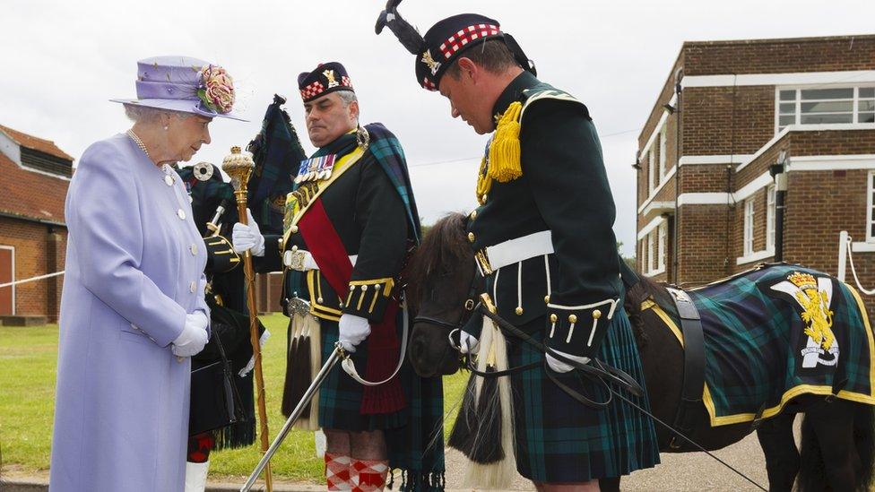 Lance Corporal Cruachan IV the pony