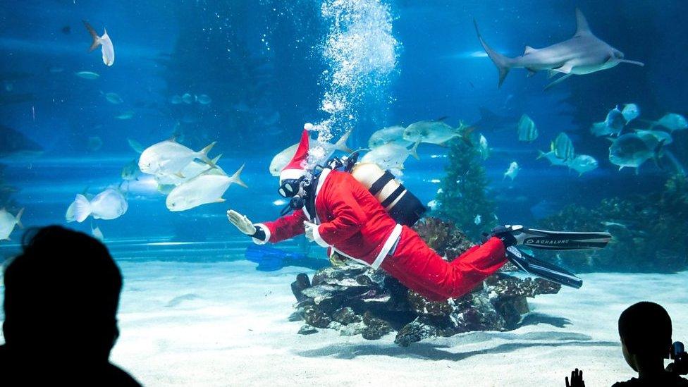 Scuba diving Santa