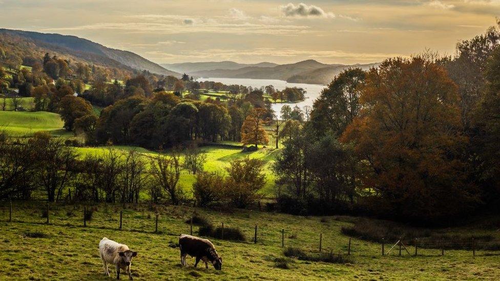 Lake District