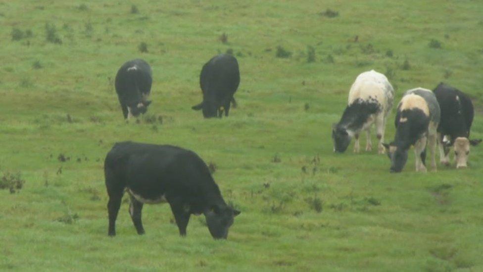 Worcestershire farm