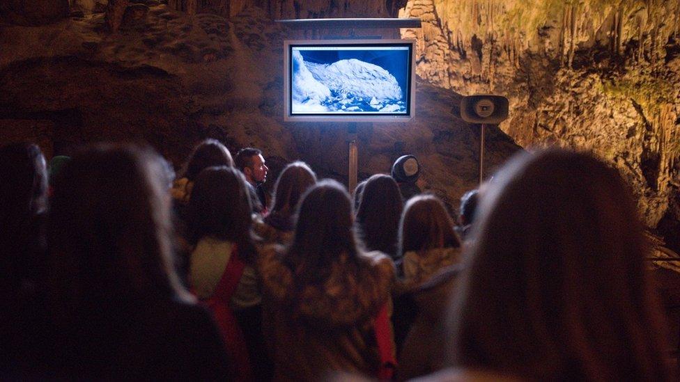 visitors watching screen