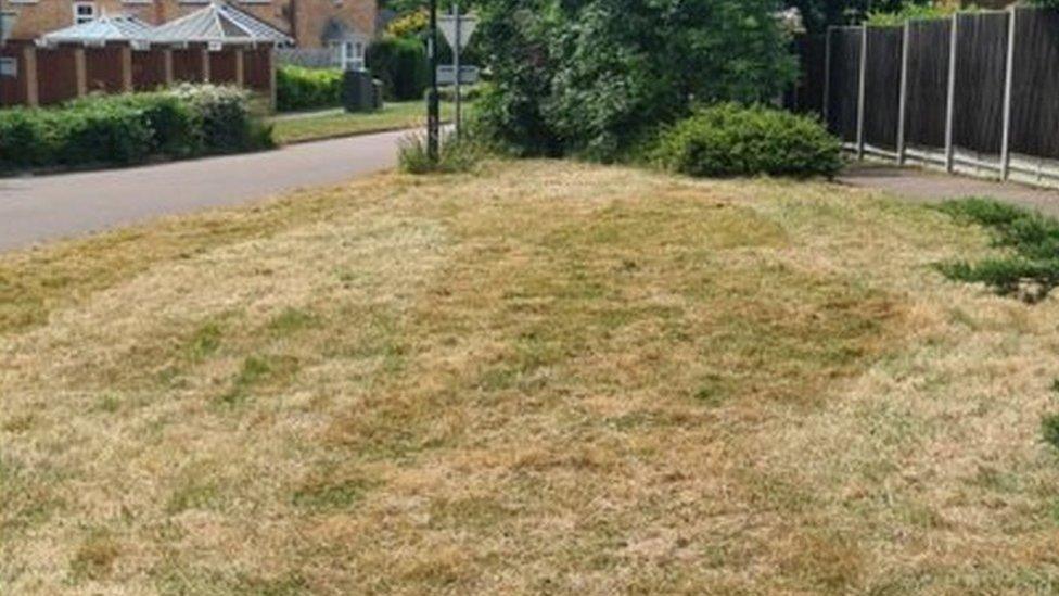 Verges in Elizabethan Way, Maidenbower