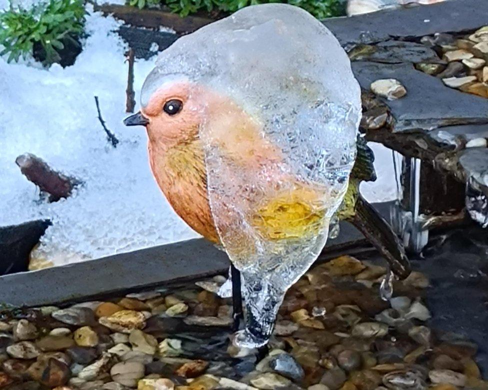 A model robin bird covered in ice