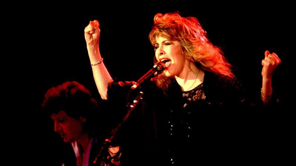 Stevie Nicks