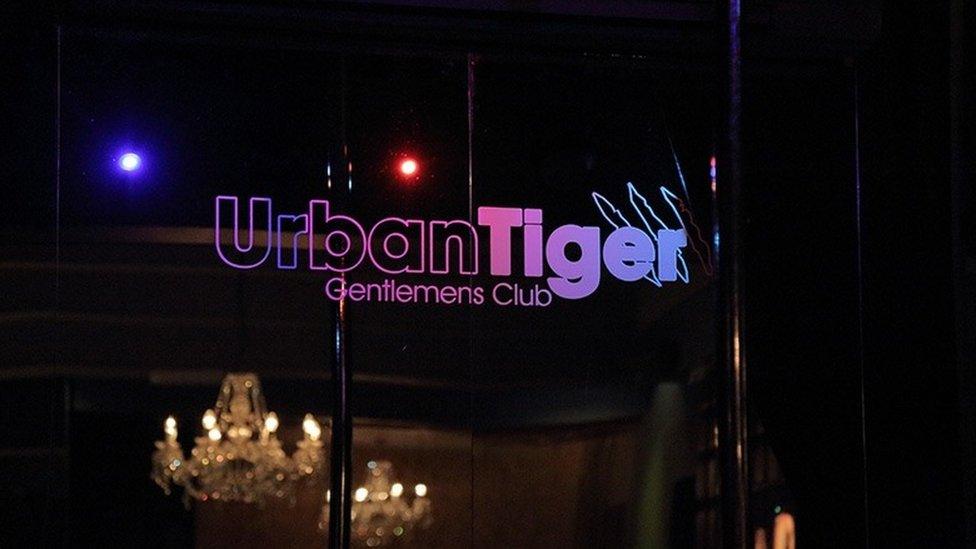 Urban Tiger in Bristol city centre