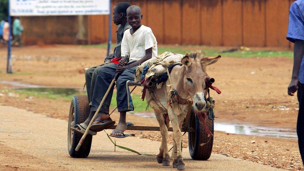 A donkey pulling a cart in Niger