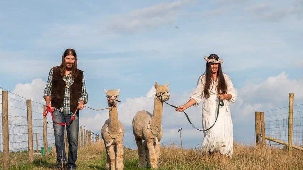 Husband and wife Nick Stringer and Lucy Aylett with their pet alpacas