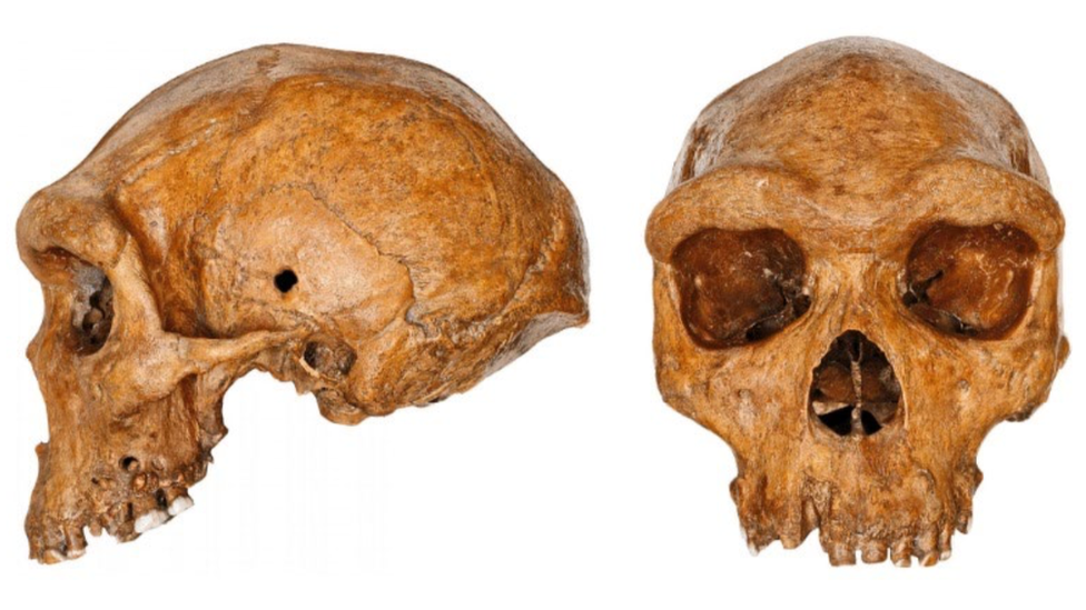 Kabwe Skull