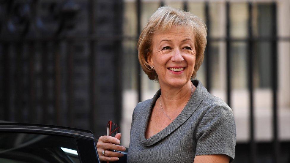 Andrea Leadsom