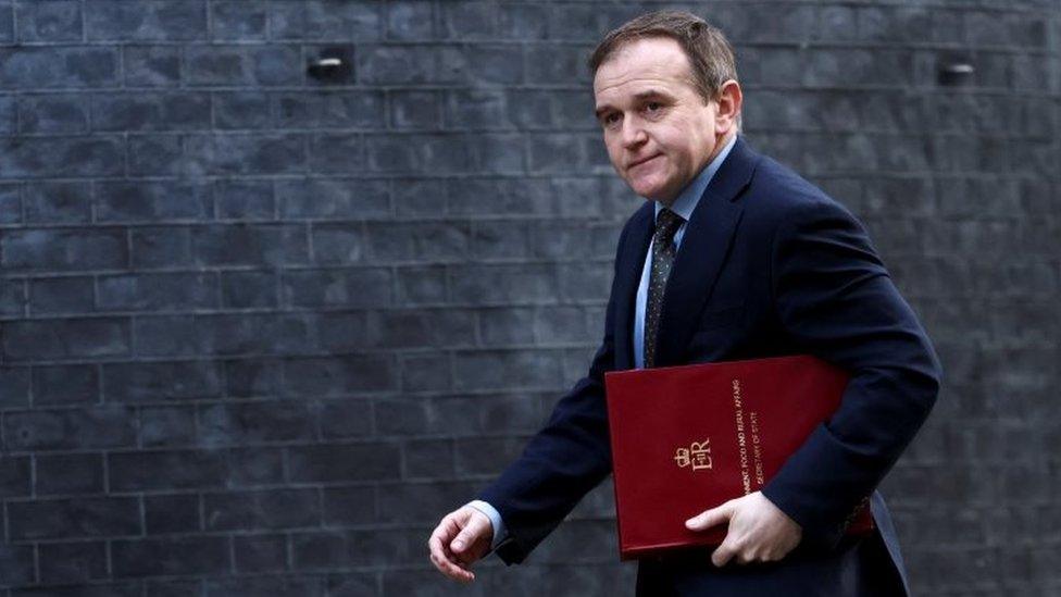 Environment Secretary George Eustice