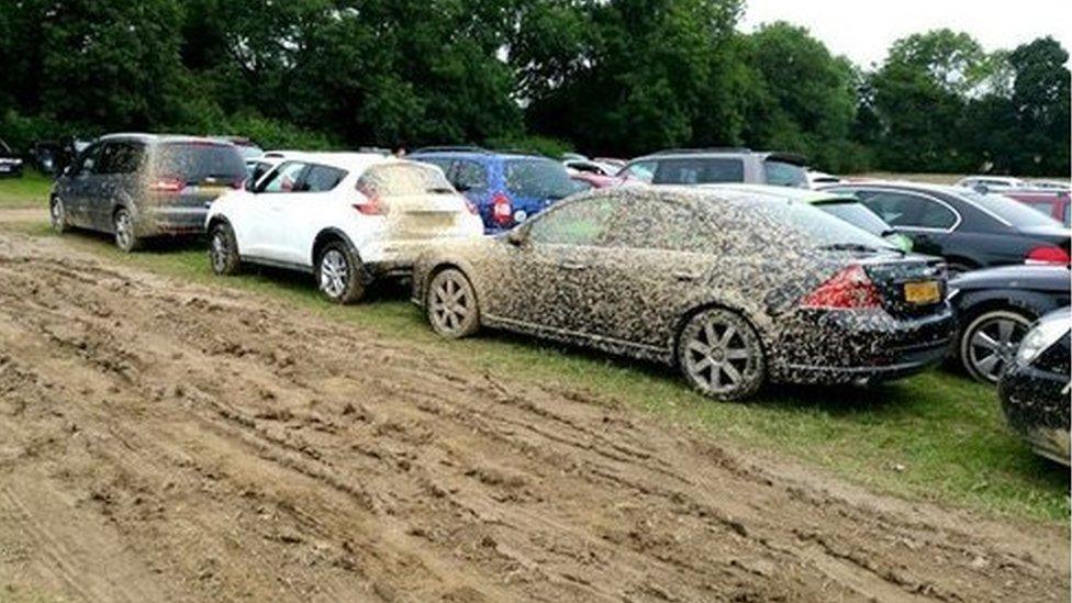 Cars found in boggy field near Gatwick by Sussex Police