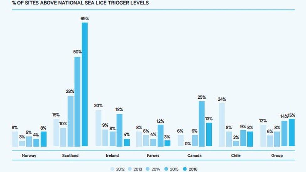 Marine Harvest infograph