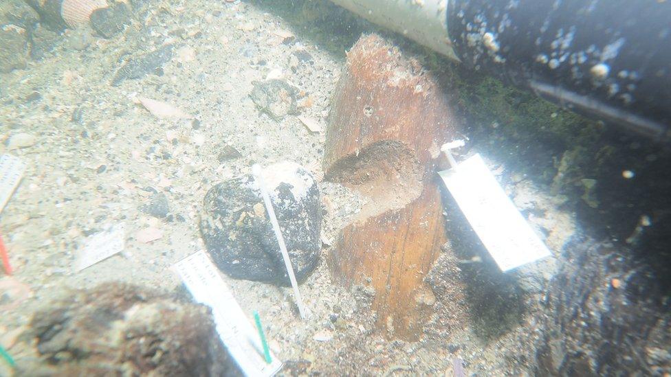 Underwater stake at burial site