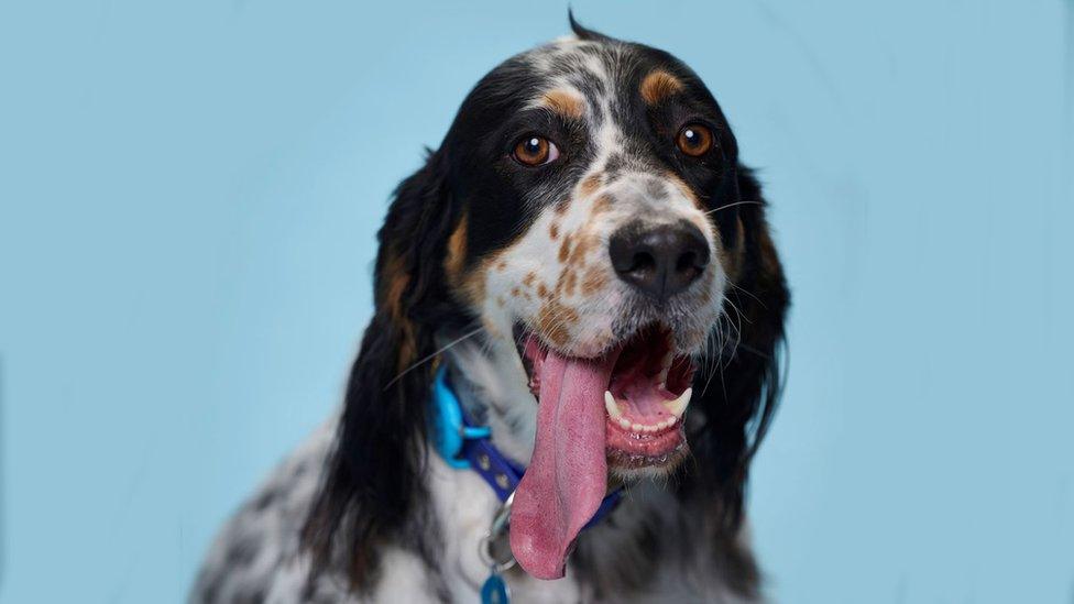 Bisbee with his record-breaking tongue