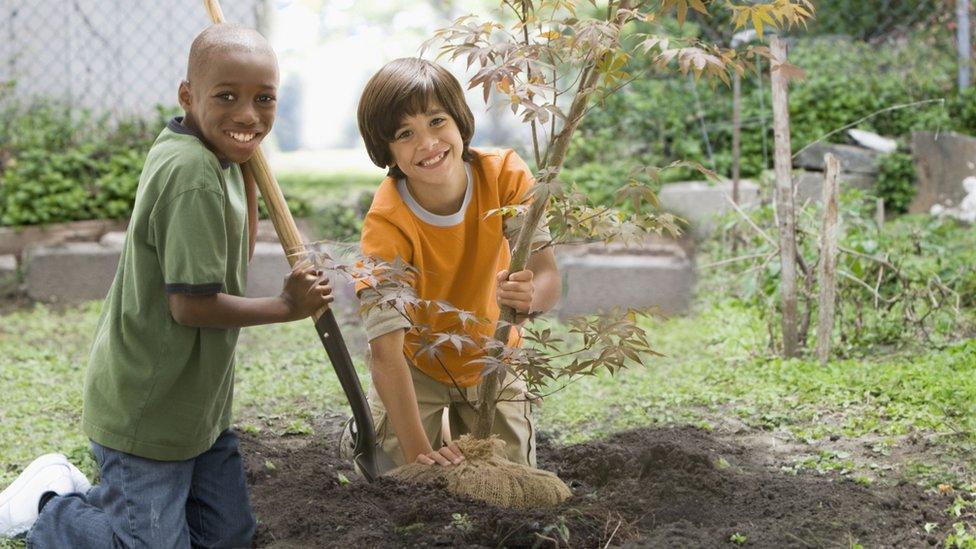 boys-planting-a-tree