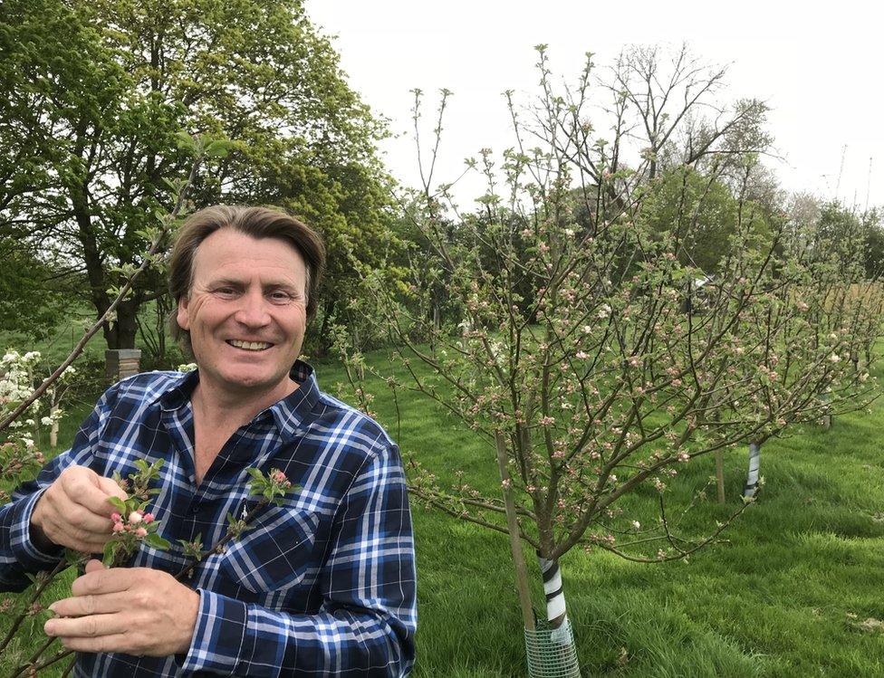 Micro orchard