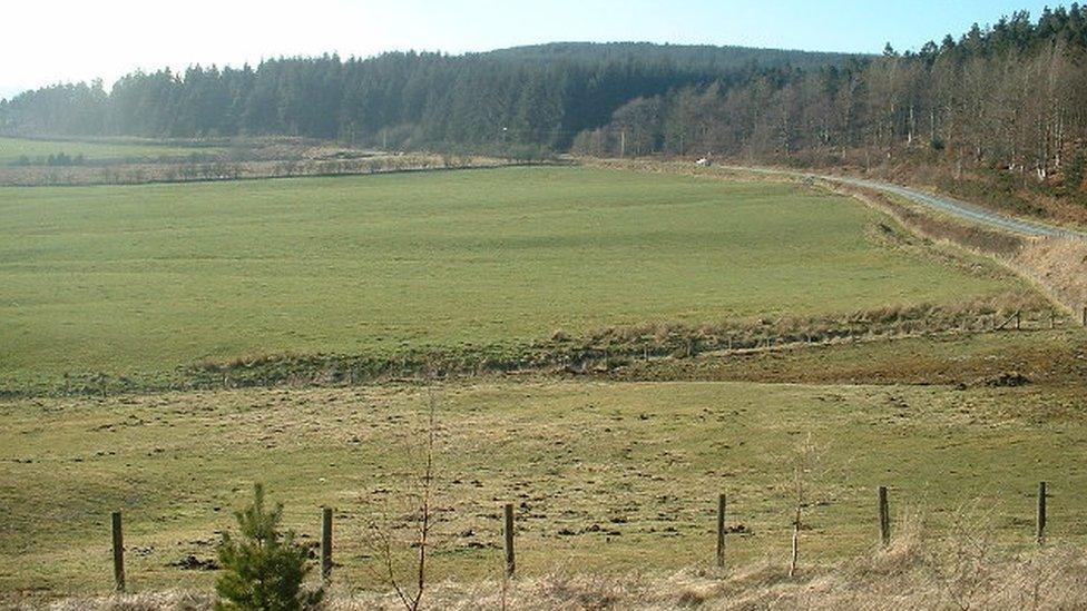 Clocaenog Forest