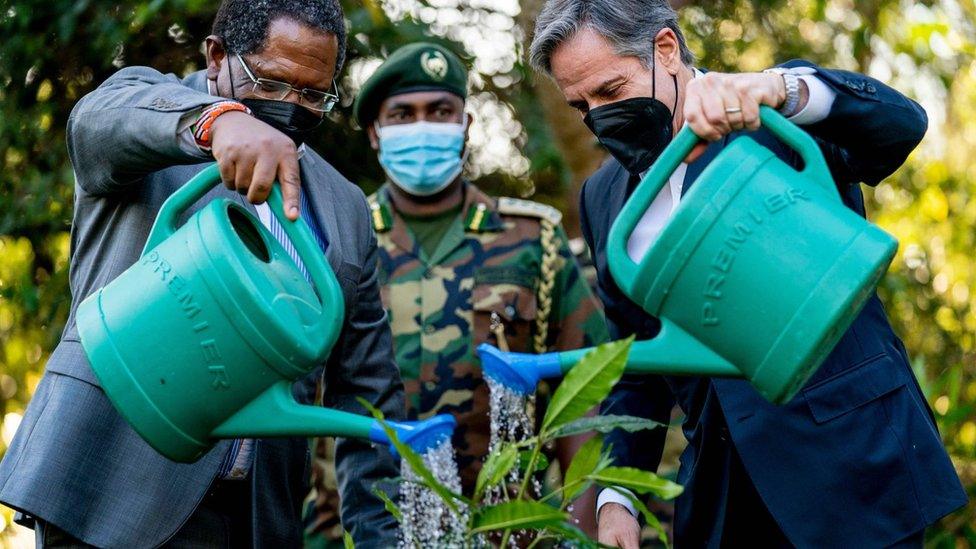 US Secretary of State Antony Blinken (R) and Kenyas Cabinet Secretary for the Ministry of Environment and Forestry Keriako Tobiko (L) plant a tree together during a visit to the Karura Forest in Nairobi, Kenya, on November 17, 2021