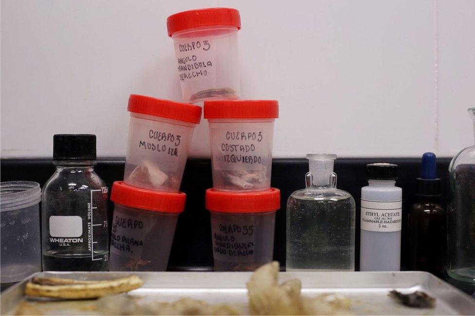 Labelled containers with human remains in the lab of Dr Hernández