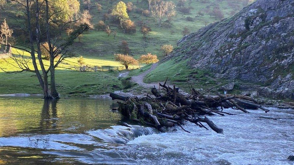 Debris on the stepping stones on 22 October, shortly after Storm Babet