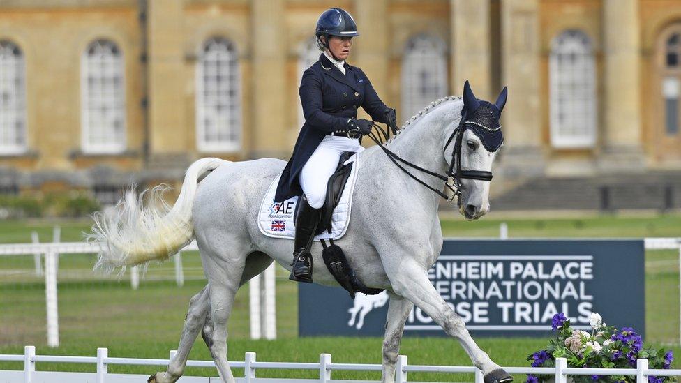 Rider at Blenheim Palace International Horse Trials