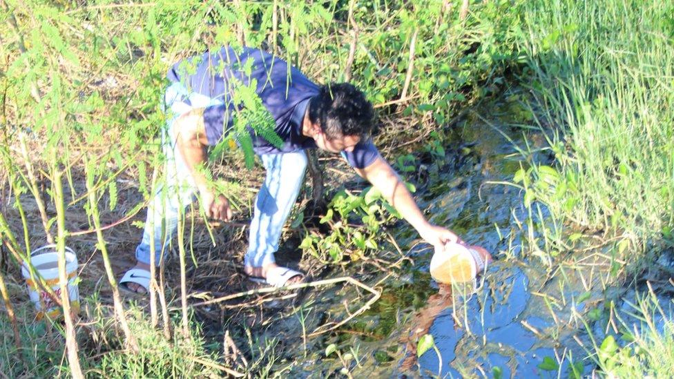 Man collects stagnant water