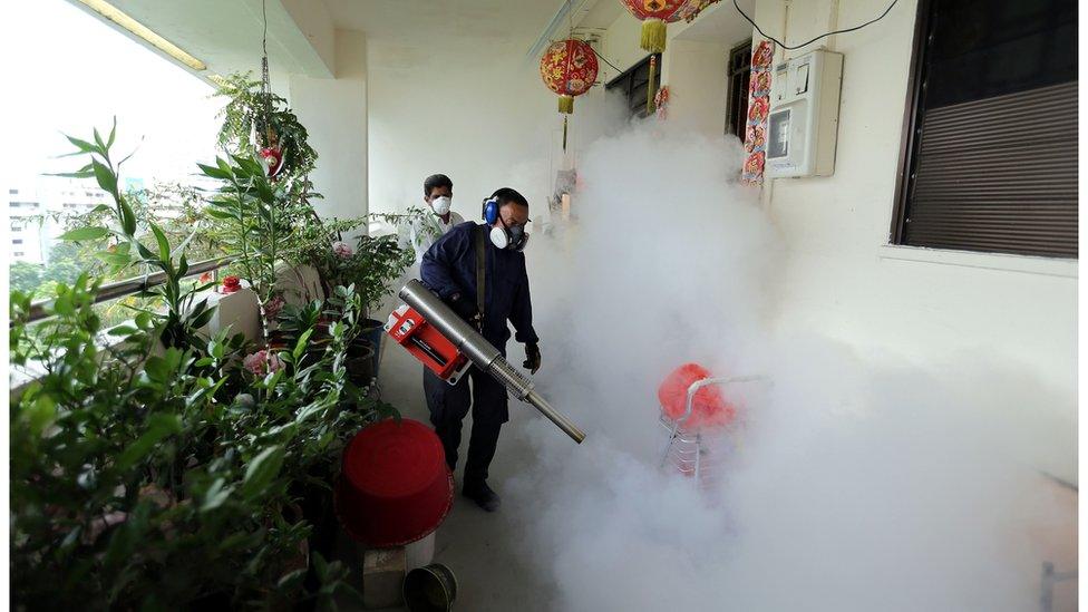 A worker fogs an area inside a public housing block in Singapore on 28 August 2016.