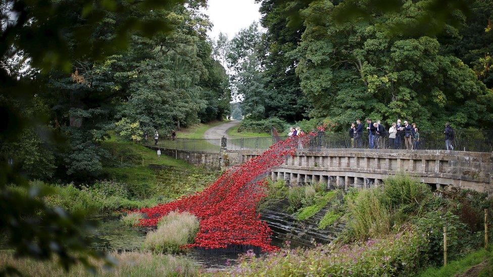 Poppies at Yorkshire Sculpture Park