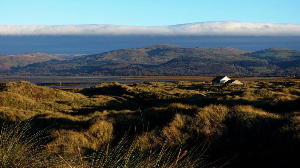 Ynyslas Nature Reserve