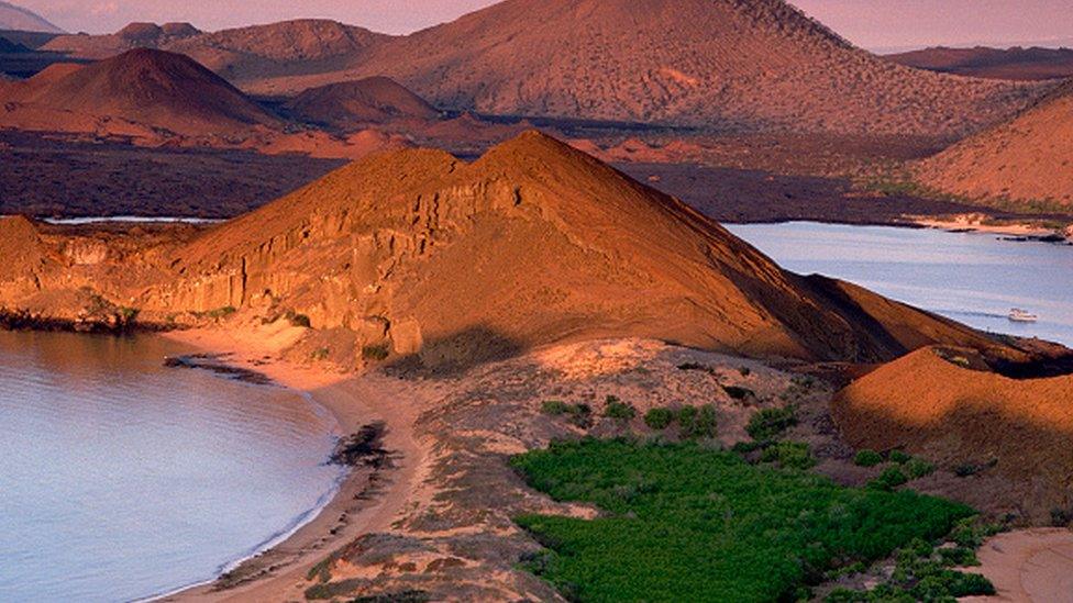 Bartholomea Island, Galapagos Islands, Ecuador