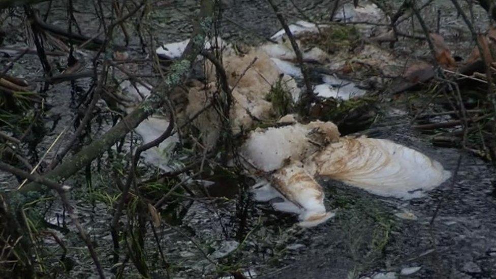 Pollution is visible on the water's surface