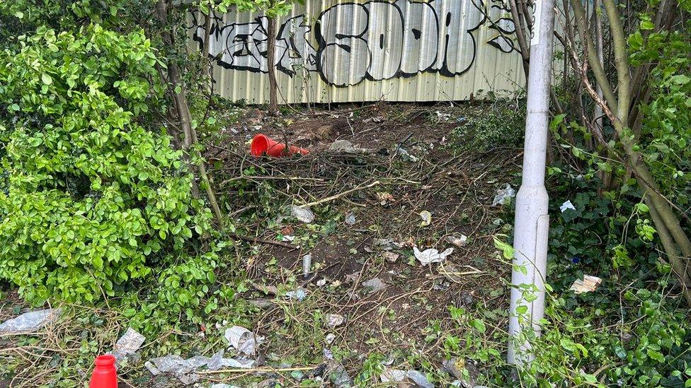 A hole in the hedge where the car was removed from