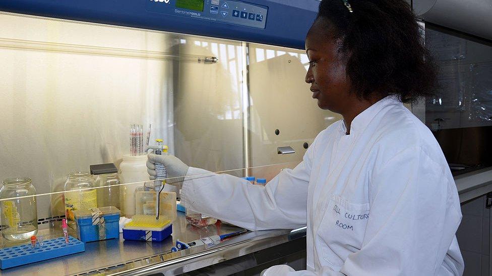 A researcher manipulates on December 11, 2012 blood samples from children vaccinated against malaria at the Albert Schweitzer Hospital in Lambarene, Gabon.