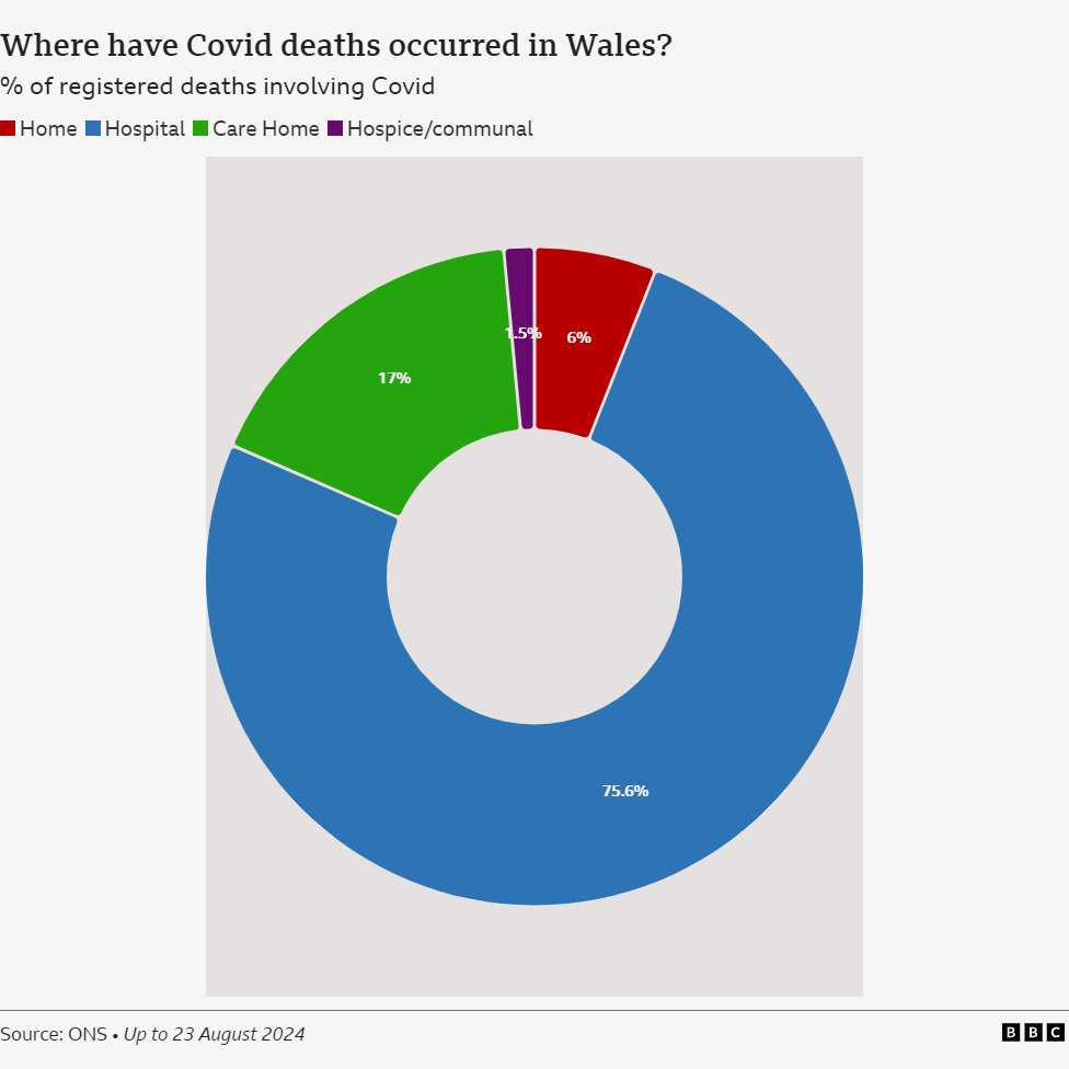 Pie chart showing where Covid deaths occurred