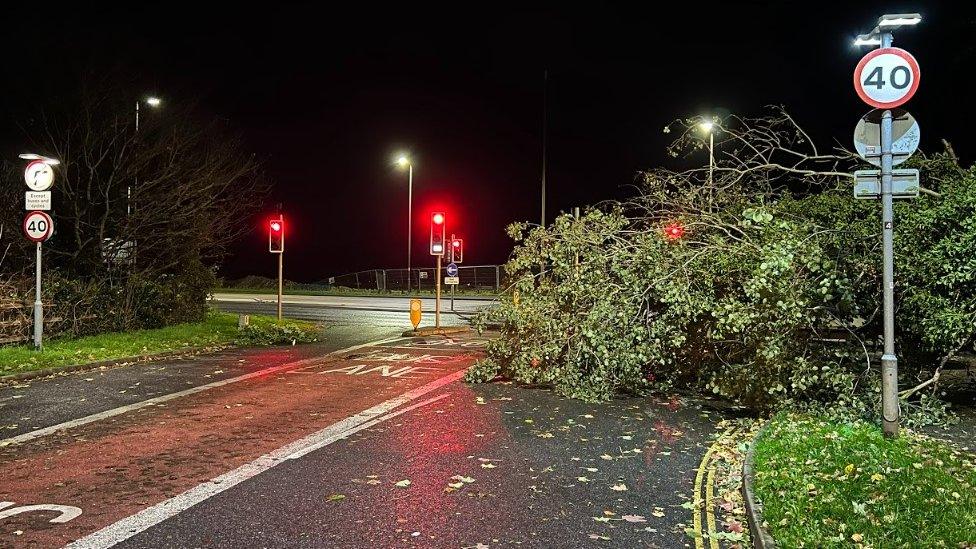 Portsmouth tree down